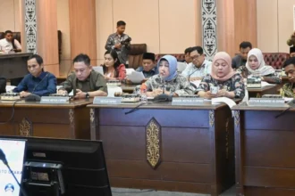 Paparan Multiyears