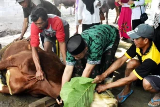 Syarat Menyembelih Hewan Kurban