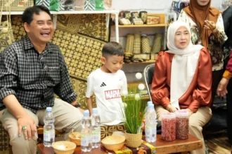 Tinjau Stand