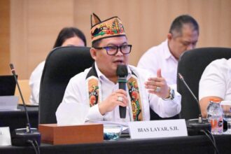 Anggota Komisi Xiii Dpr Ri Bias Layar