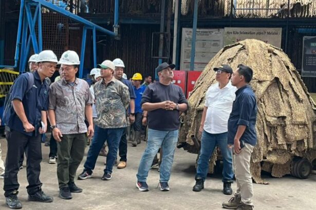 Holding Perkebunan Nusantara Perkuat Produktivitas Karet, Ptpn I Fokus Benahi Kebun Padang Pelawi