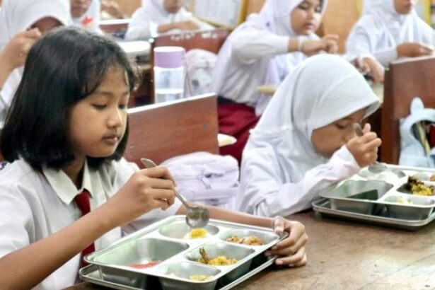anggaran mbg