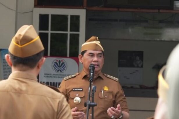 Bupati Barut