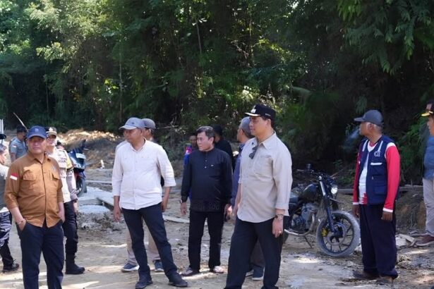 Cek Jembatan Lahei