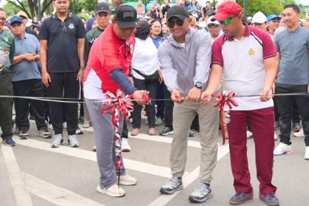 Cfd Muara Teweh