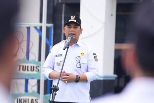 Pendidikan