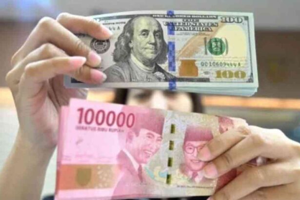 Rupiah Pangkas Pelemahan Ke 17799 Dolar As Bertahan Kuat 0