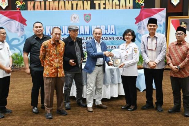 Tim Panja Ruu Kabupaten