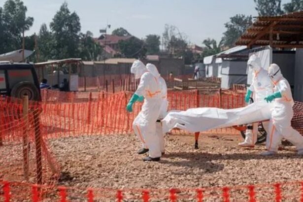 Wabah Ebola