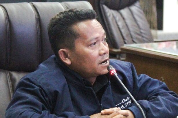 Anggota DPRD Barito Utara, Ardianto