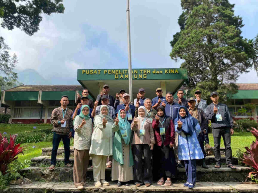 Holding Perkebunan Nusantara Perkuat Kompetensi Petani Melalui Kelas Budidaya Teh