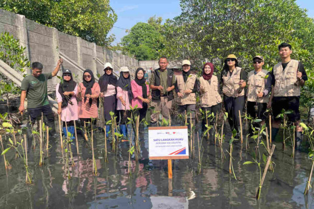 Kai Logistik Lanjutkan Komitmen Keberlanjutan Melalui Penanaman 270 Bibit Mangrove
