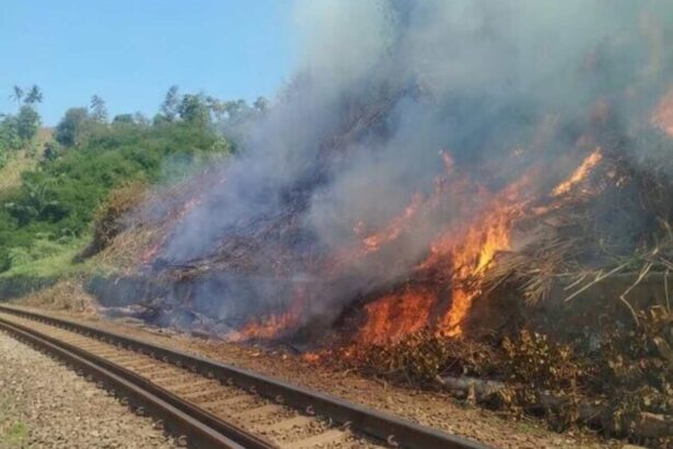 Musim Kemarau, Kai Daop 2 Bandung Himbau Tidak Bakar Sampah Di Sekitar Rel
