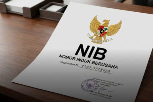 Nib