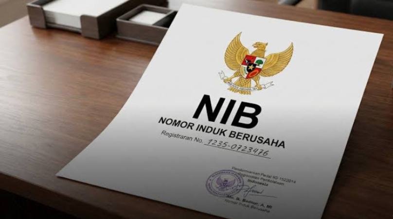 Nib