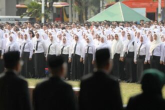 Pppk Melonjak