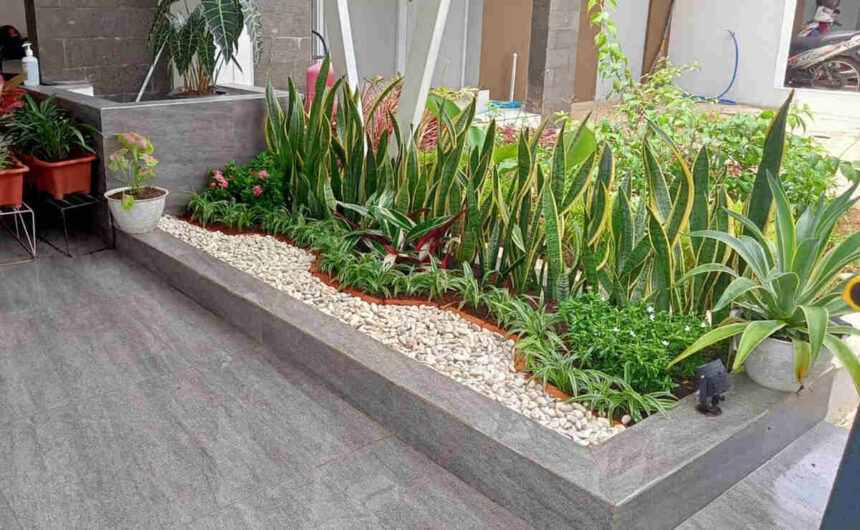 Pagi Ceria Memperkuat Layanan Jasa Taman Dan Kolam Di Area Jabodetabek