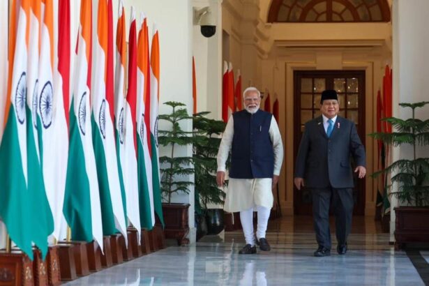 Saatnya Indonesia–india Pererat Hubungan Saling Menguntungkan