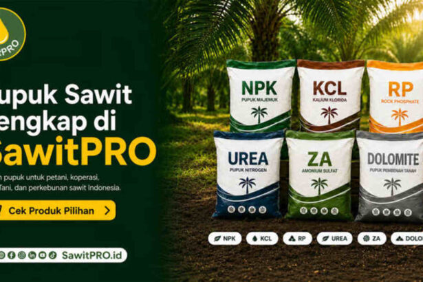 Sawitpro Hadirkan Pilihan Pupuk Sawit Lengkap Untuk Kebutuhan Petani Dan Perkebunan