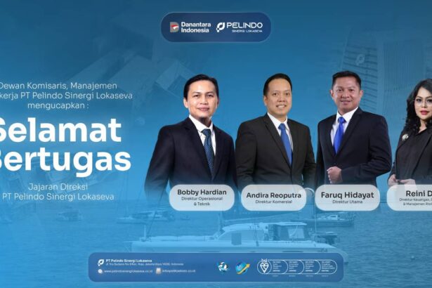 Susunan Baru Direksi Pt Pelindo Sinergi Lokaseva