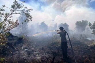 Karhutla Di Desa Tumbang Nusa