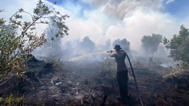 Karhutla Di Desa Tumbang Nusa