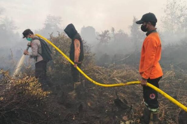 Karhutla Tumbang Nusa