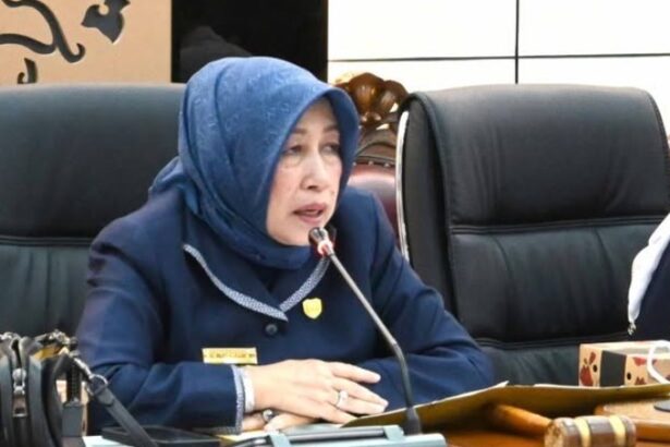 Ketua Dprd Barut