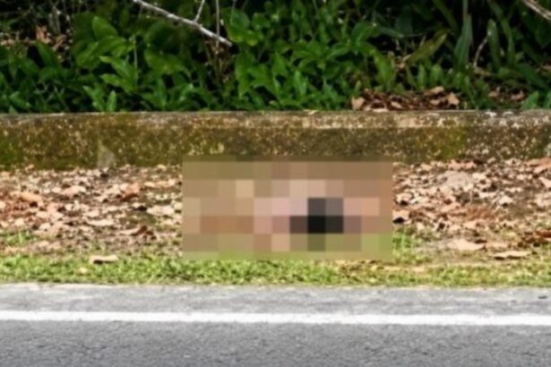 Odgj Di Palangka Raya Meninggal Ditabrak