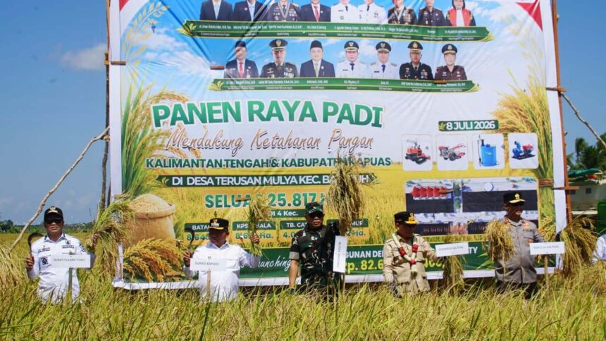 Panen Raya Kapuas