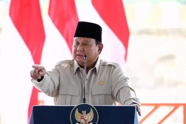 Presiden Prabowo Subianto