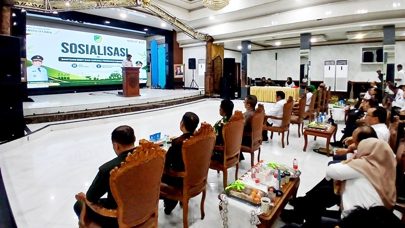 Sosialisasi Bantuan Bibit