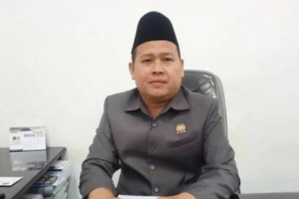 anggota DPRD Barito Utara, Suhendra