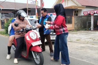 Partai Demokrat Barito Selatan