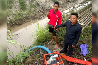Ardianto Petani Trinsing