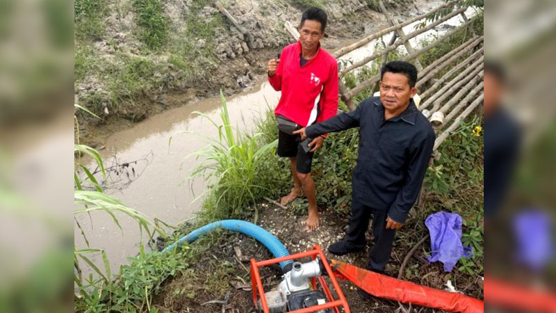 Ardianto Petani Trinsing
