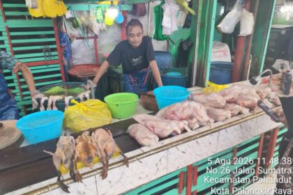 Img 20260805 Wa0084
