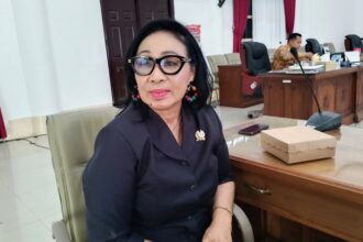 Ketua Komisi Ii Dprd Barsel Yangsi Hartini