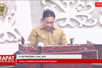 Wakil Gubernur Kalimantan Tengah, Edy Pratowo.