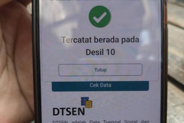 Cara Cek Desil Dtsen Online