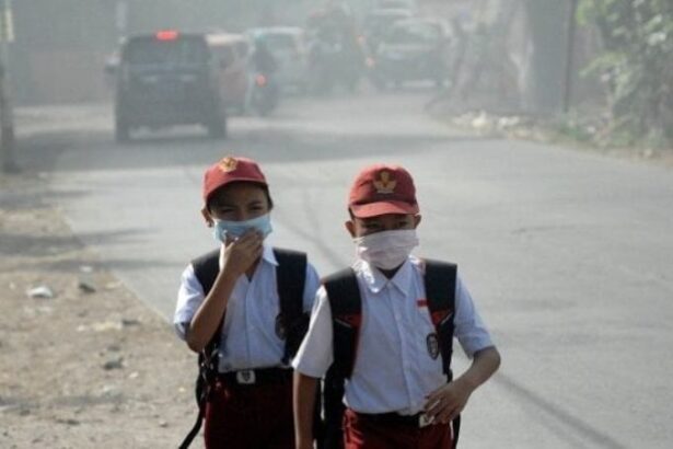 Dampak Kabut Asap Karhutla