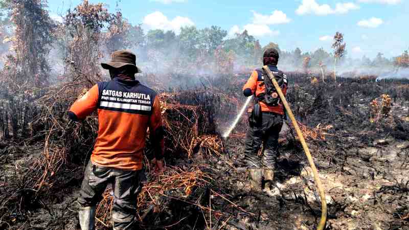 Karhutla Kemarau Kalteng