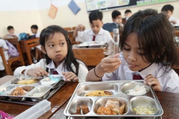 Mbg Makan Bergizi Gratis
