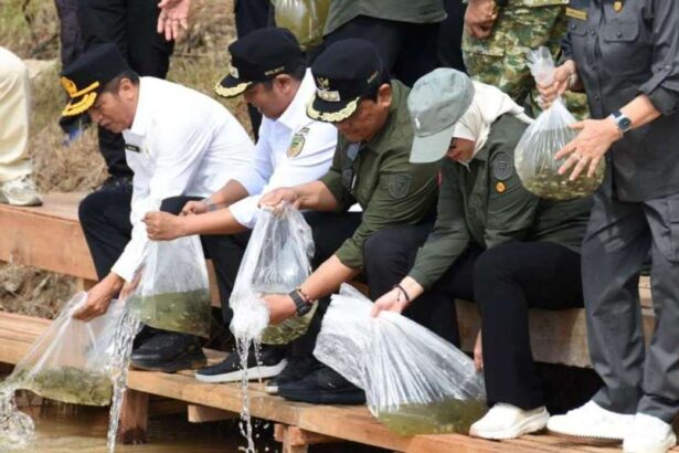 Tebar Benih Ikan