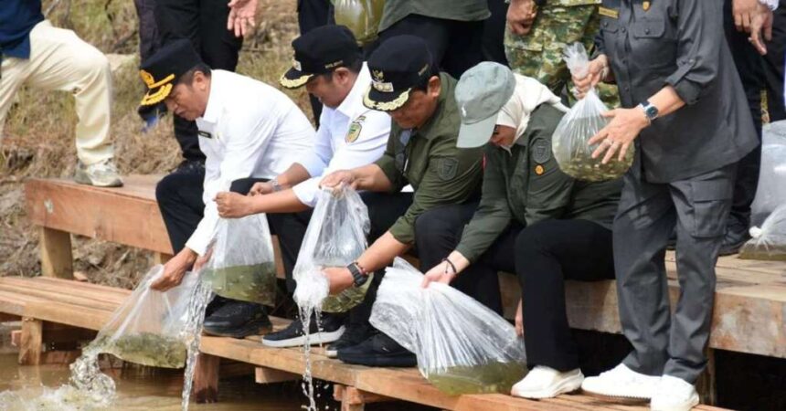 Tebar Benih Ikan