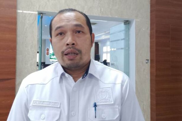 Tomy Irawan Diran