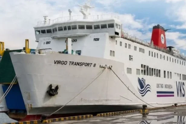 Km Virgo Transport 8