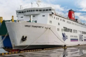 Km Virgo Transport 8