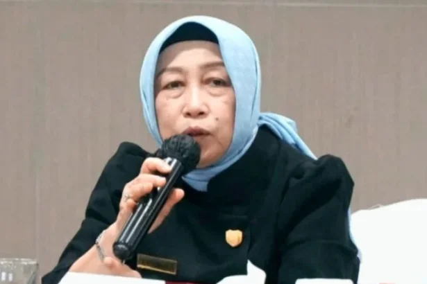 Ketua Dprd Kabupaten Barito Utara, Hj. Mery Rukaini