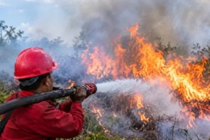 Penanganan Kebakaran Lahan